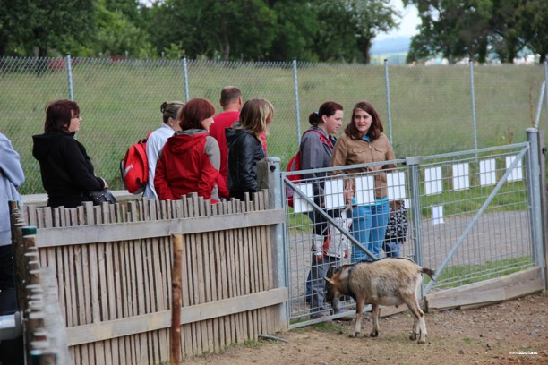 Den Dětí 2012 Zoo Věrtrovy (6)